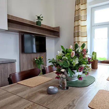 U Aloise Apartment Dolni Morava